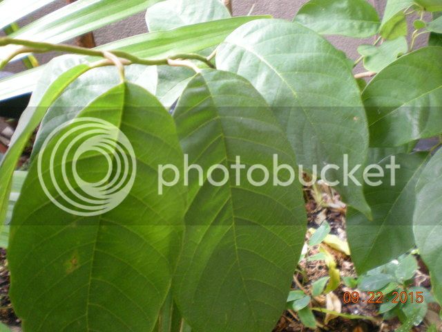 015_zpsm23ba59c.jpg
