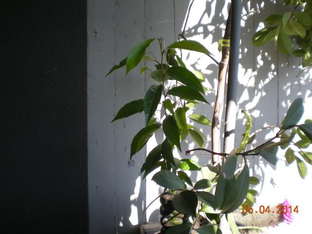 017_zps0b2c8177.jpg
