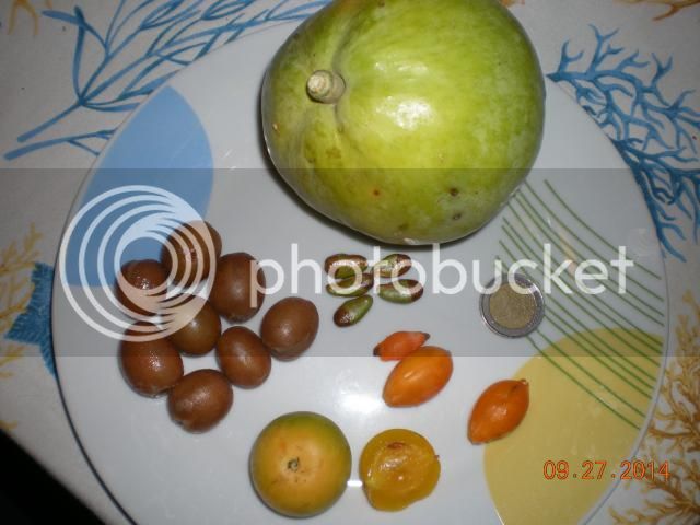 018_zps970c8bb8.jpg
