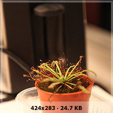 0192dd059c6e89f6793c37375654d8bco.jpg