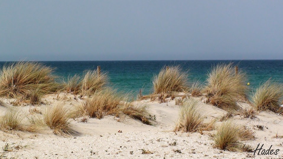 01_dunas.JPG