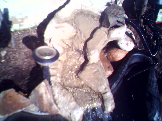 02-03-06_1118.jpg