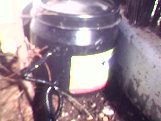 02-03-06_1119.jpg