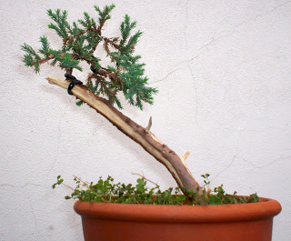 02-05-08+1BIS.jpg