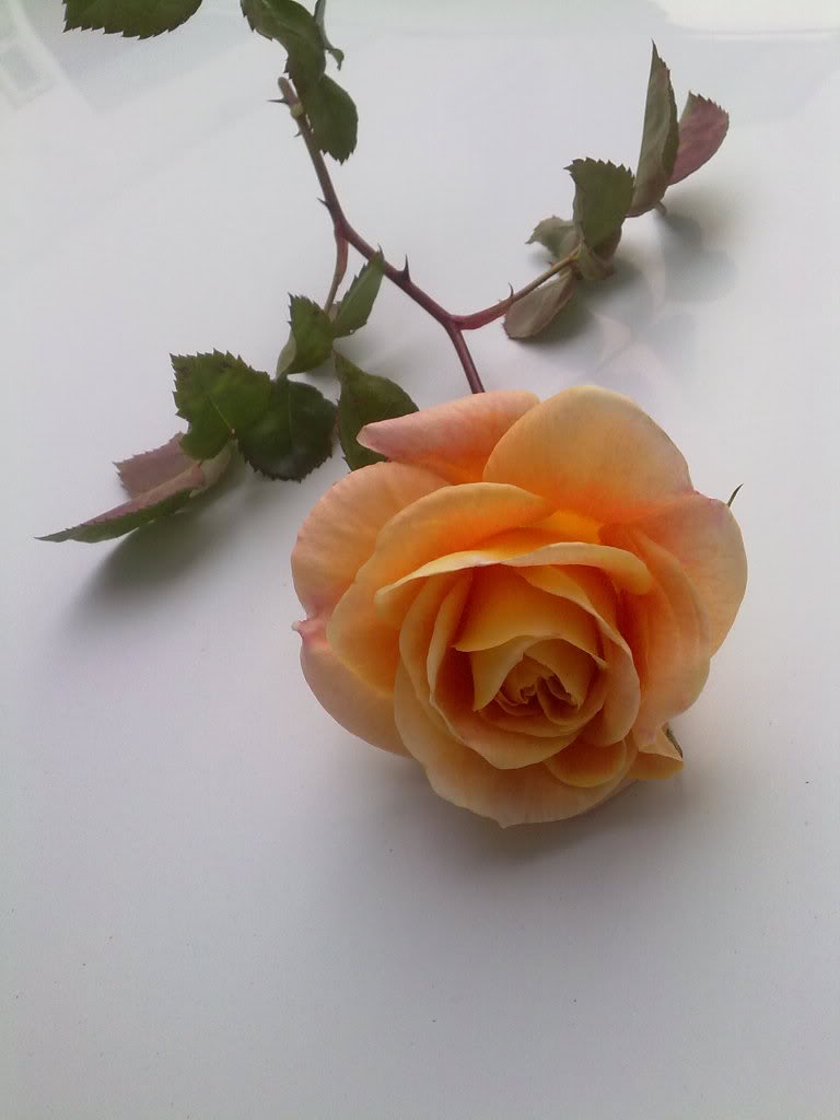020320122652.jpg
