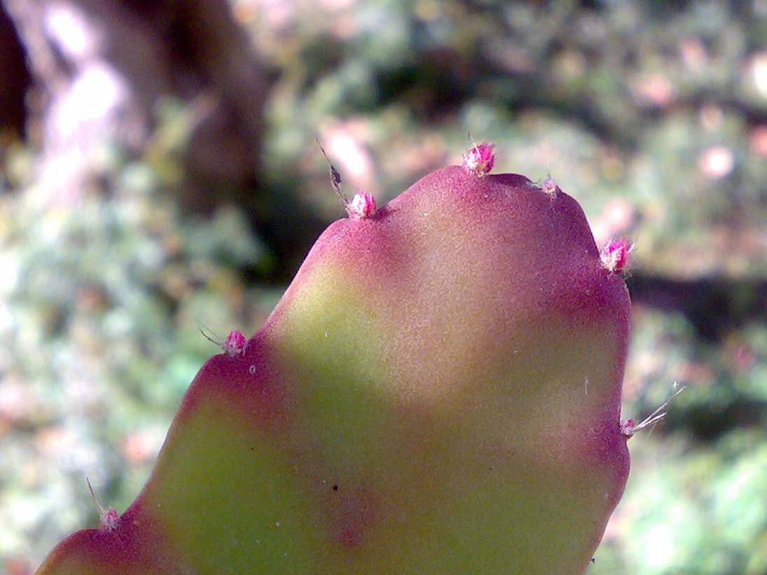 0203201316296.jpg