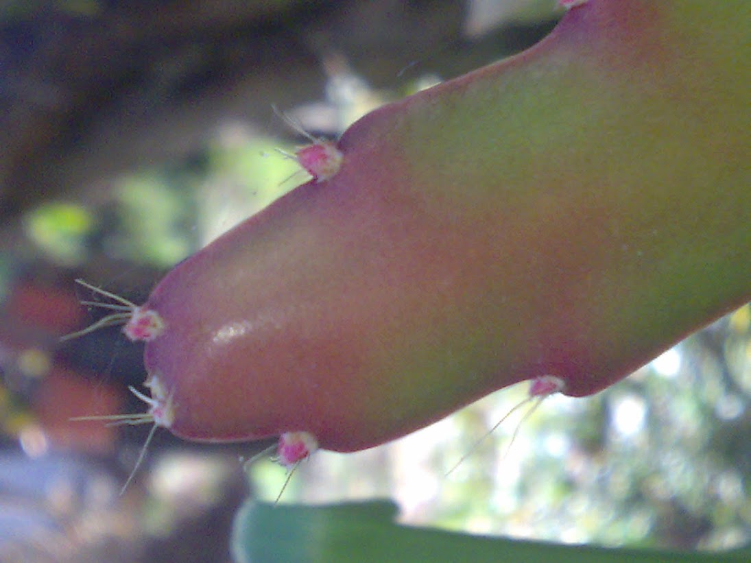 0203201316298.jpg