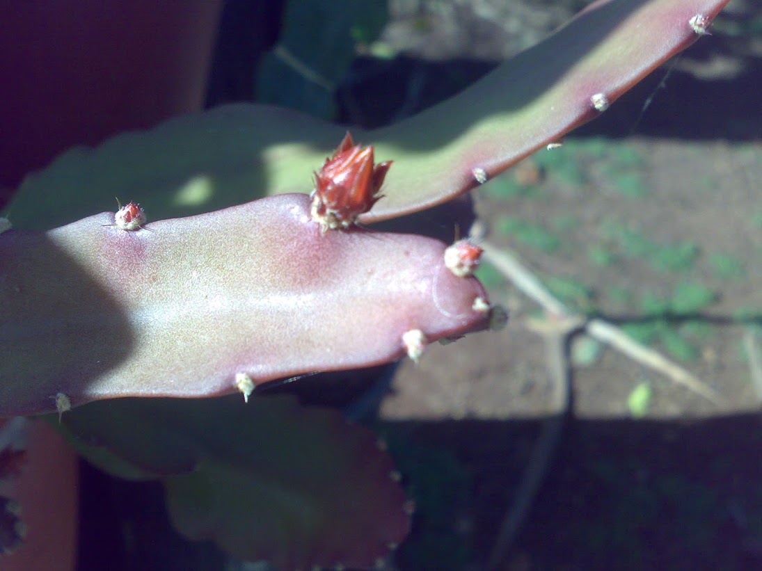 0203201316303.jpg