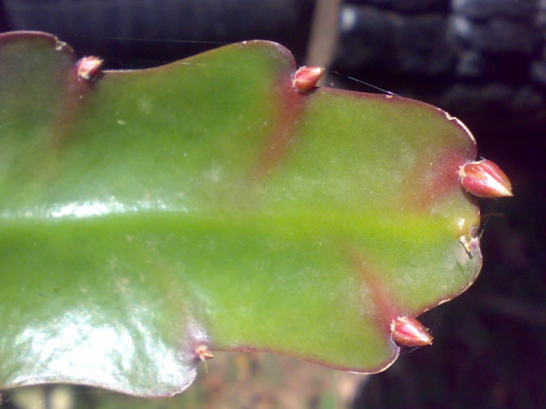 0203201316308.jpg