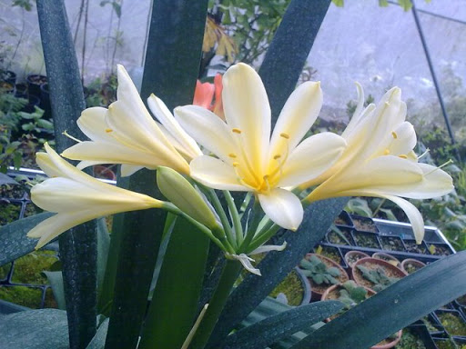 02042009077.jpg