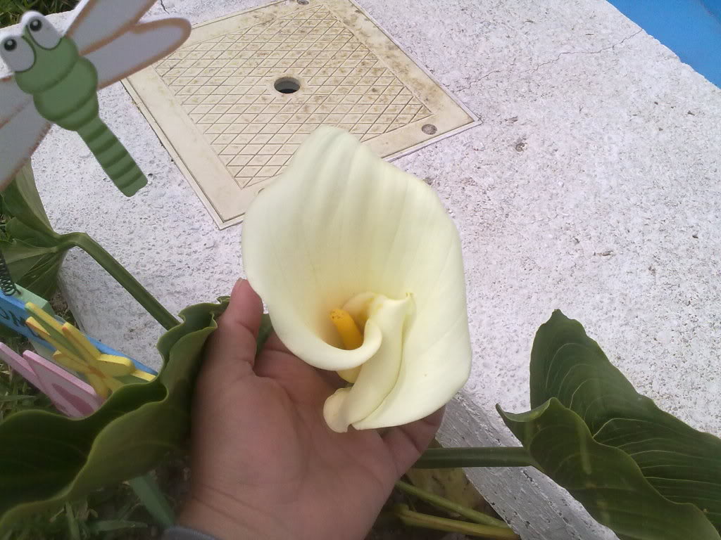 02042010243.jpg