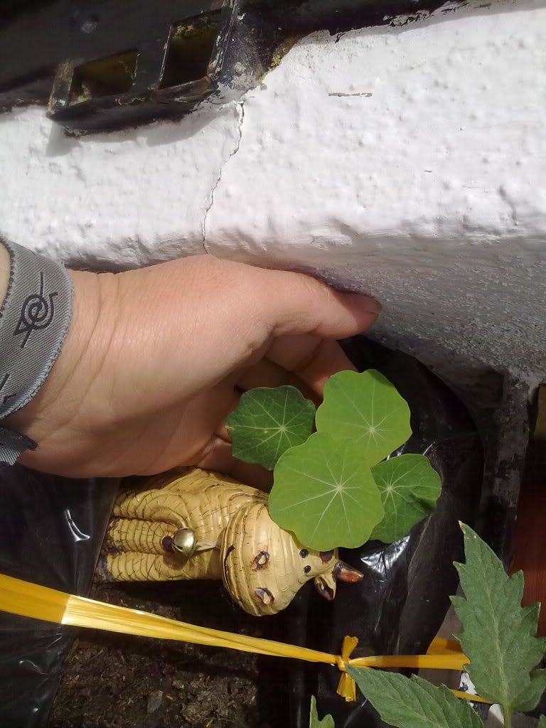 02042010247.jpg