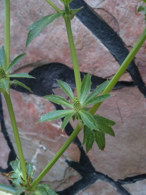 02052011125.jpg