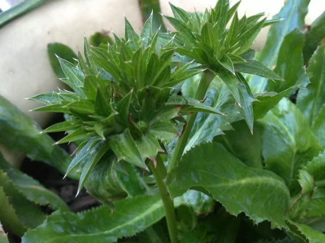 02052011126.jpg