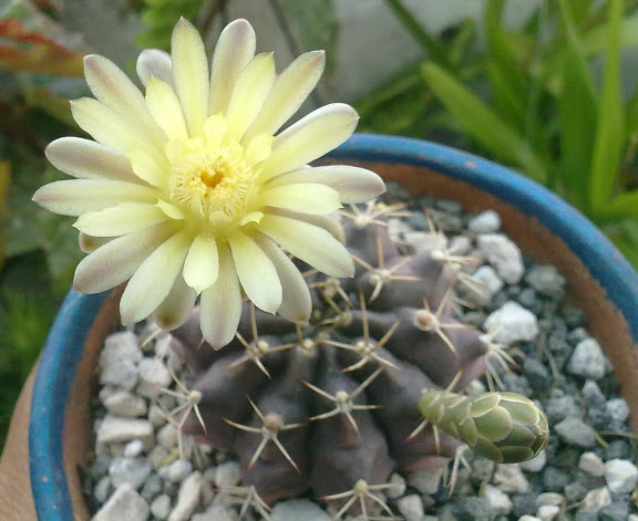 020520121415.jpg
