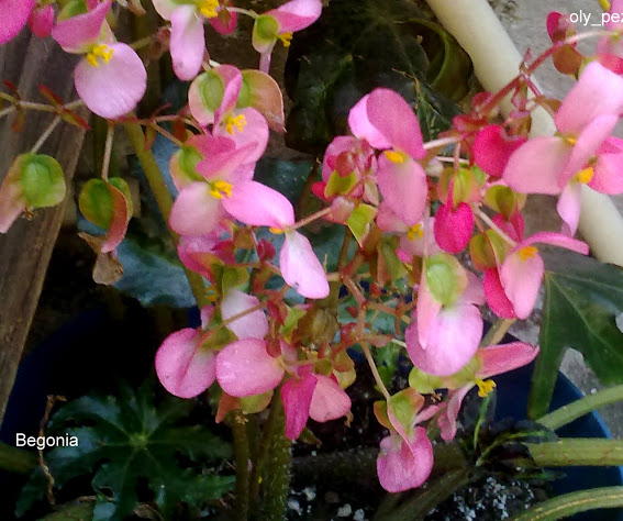 020520131021.jpg