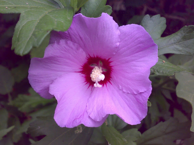 020720116741.jpg
