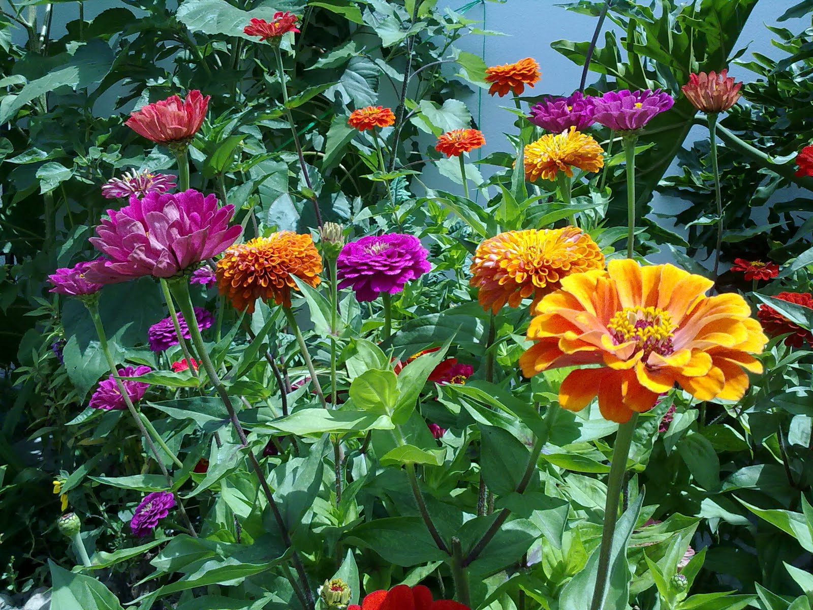 020820102212.jpg