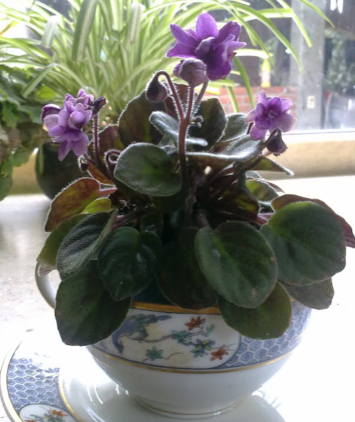 020820122241.jpg