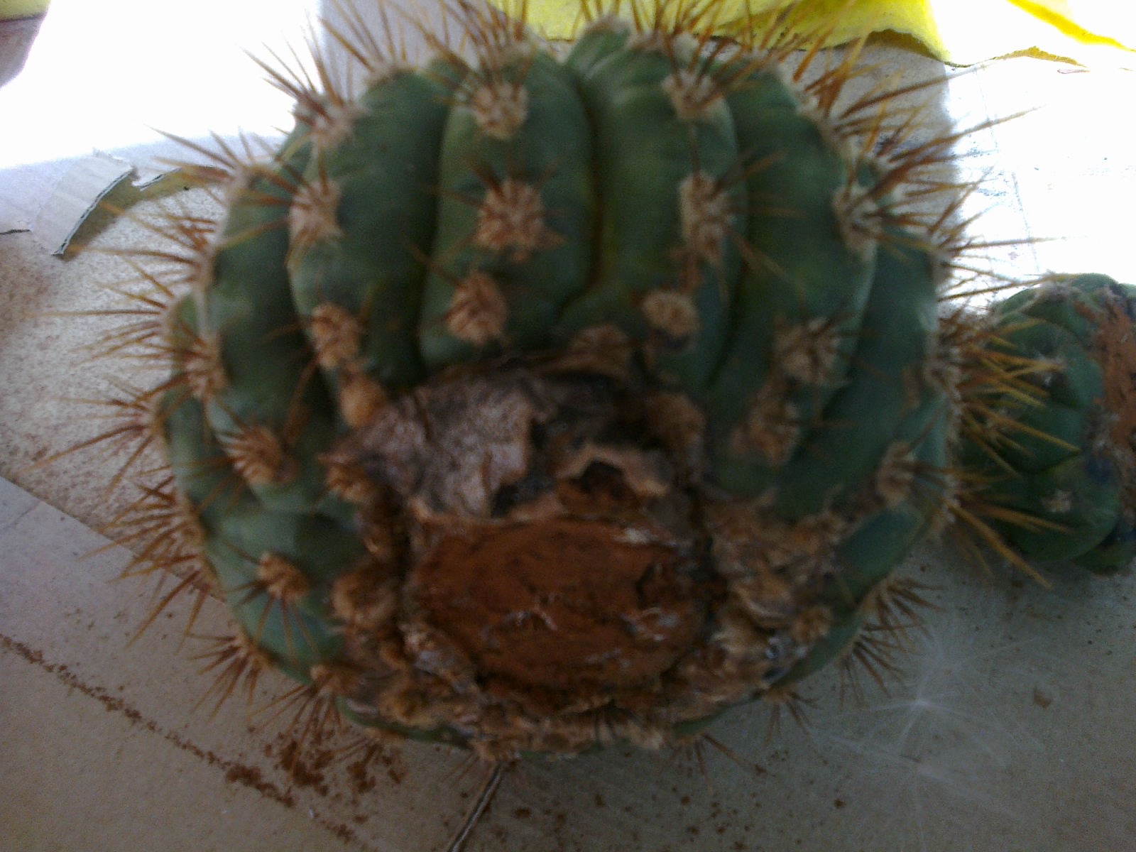 02082012439.jpg