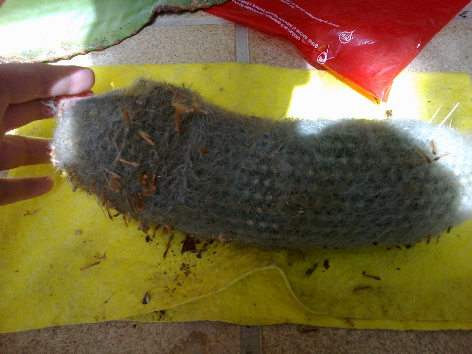 02082012440.jpg