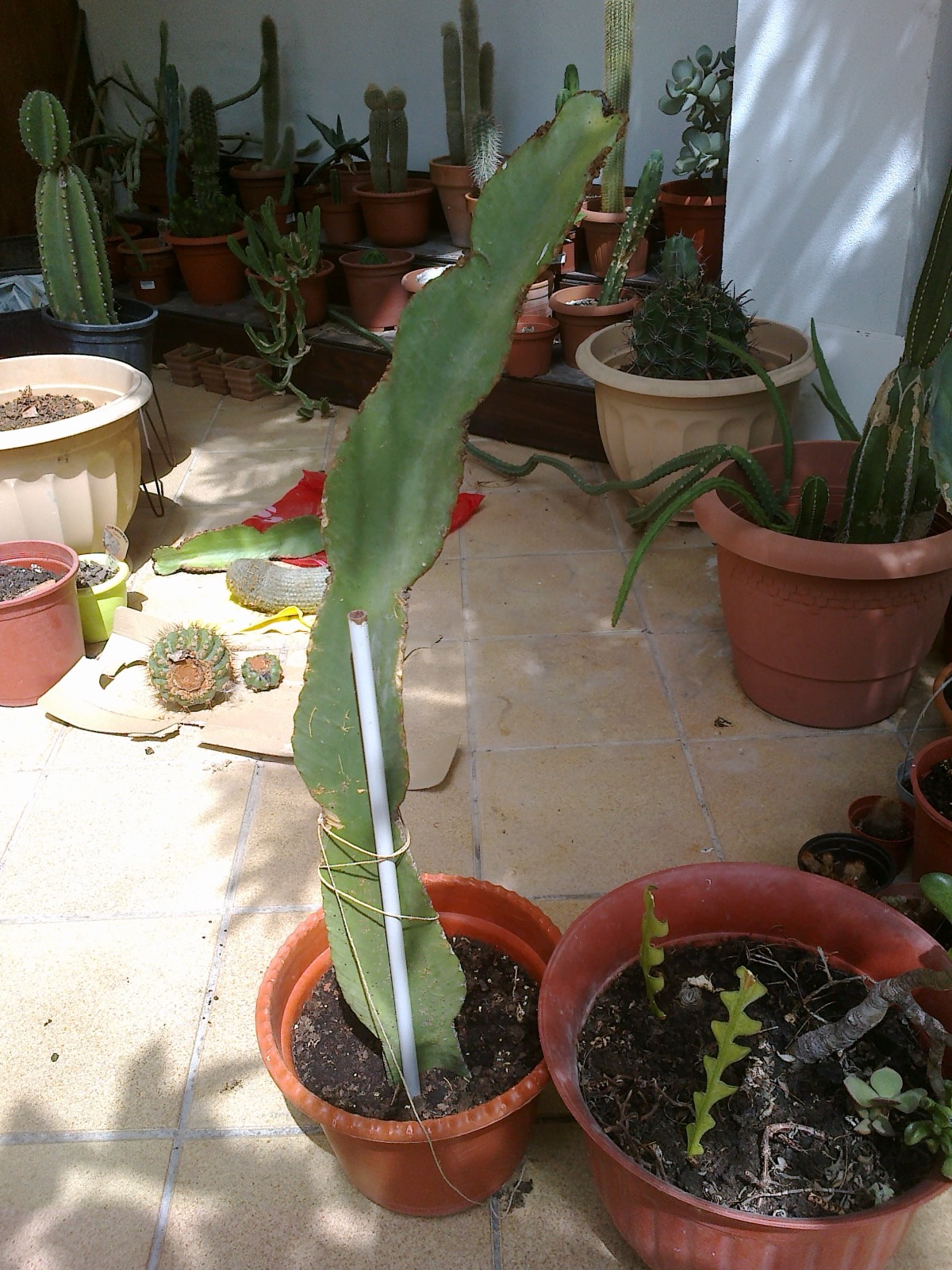 02082012445.jpg