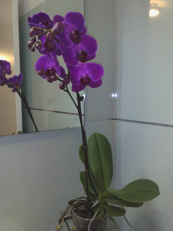 02102010256.jpg