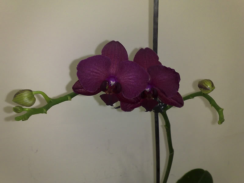 02102010258.jpg