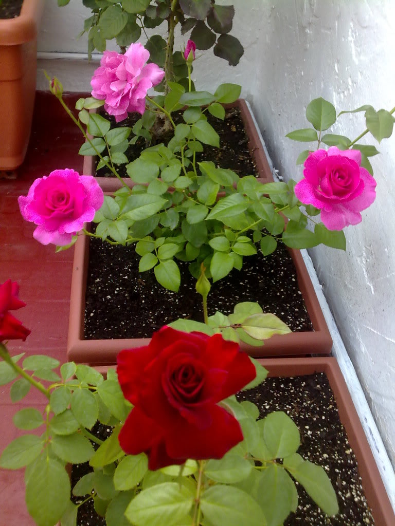 02102010910.jpg