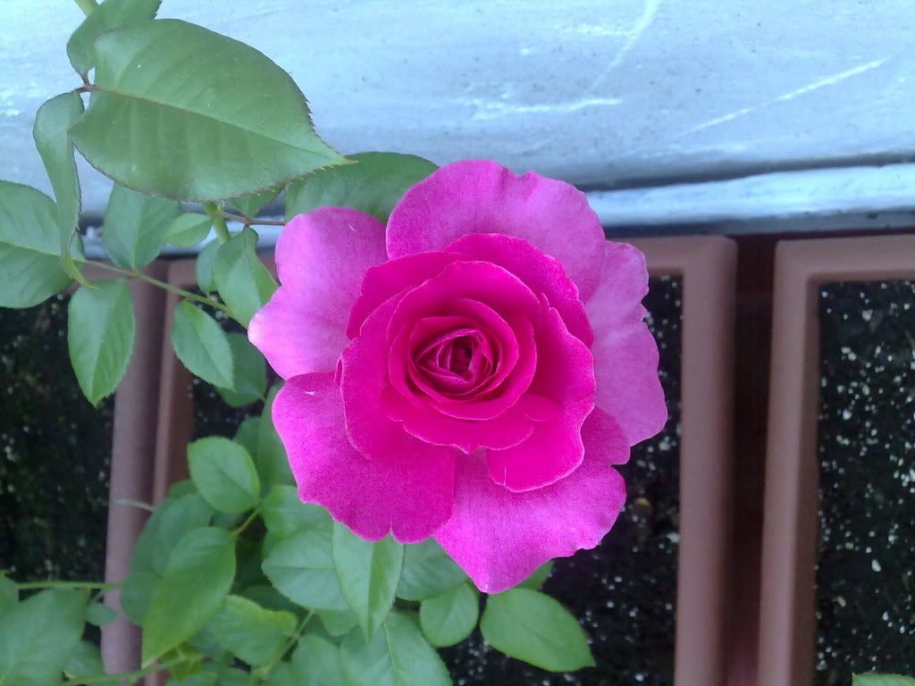 02102010912.jpg