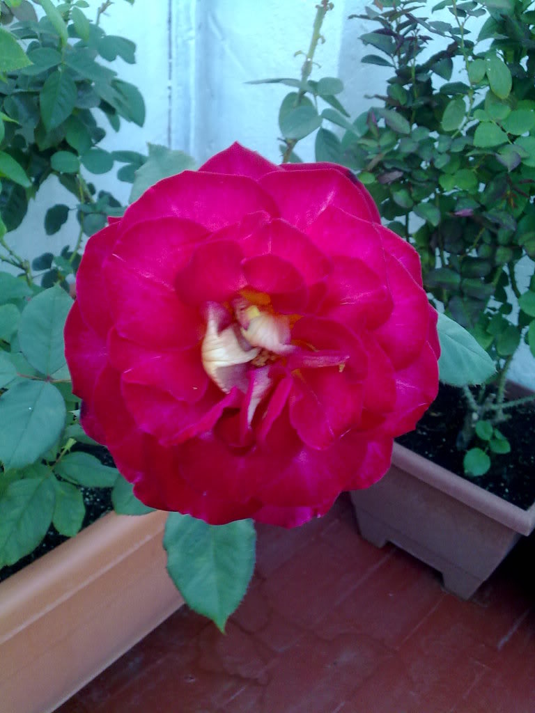 02102010915.jpg