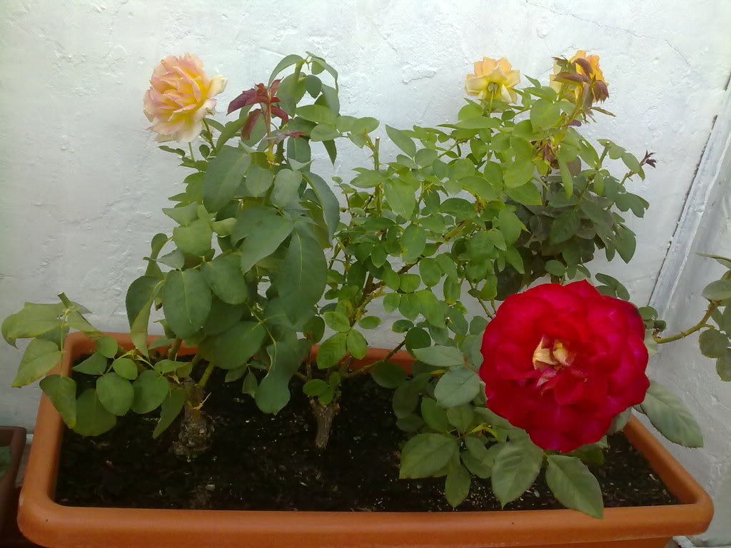 02102010916.jpg