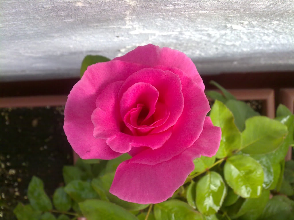 02102010920.jpg