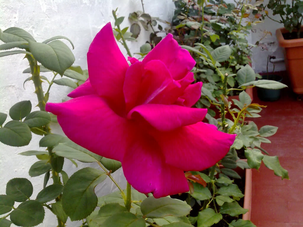 02102010921.jpg