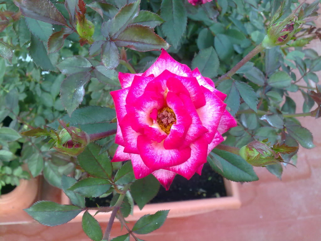02102010923.jpg