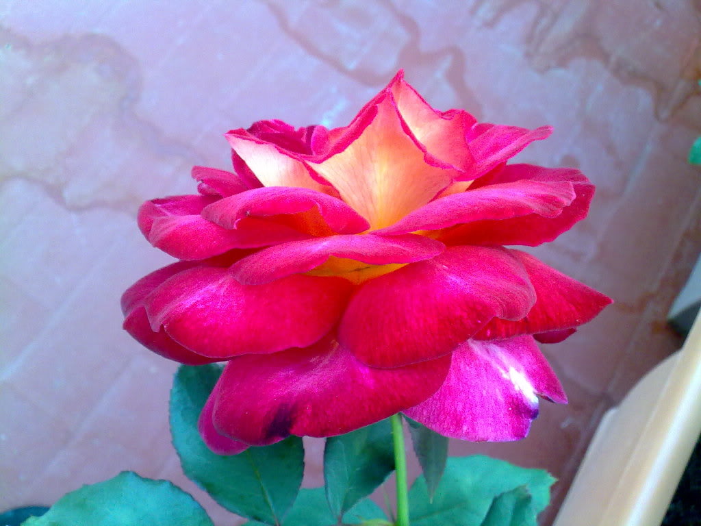 02102010930.jpg