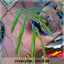 021a3f38a84336090408ecfd30cdac75o.jpg