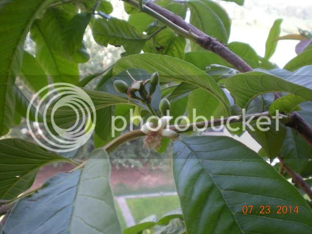 023_zps705b0798.jpg