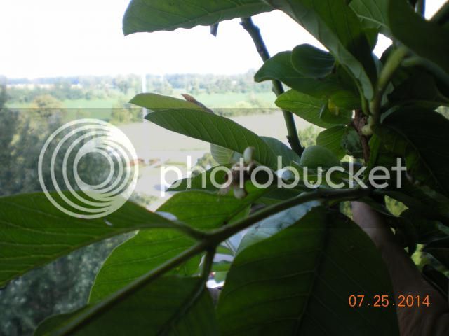 025_zpsc2b49c7d.jpg