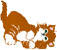 027.gif