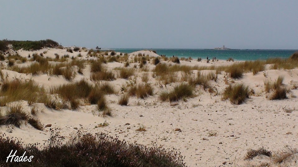 02_dunas.JPG