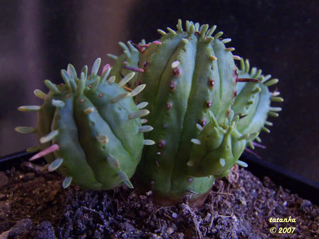 02P1000825.jpg