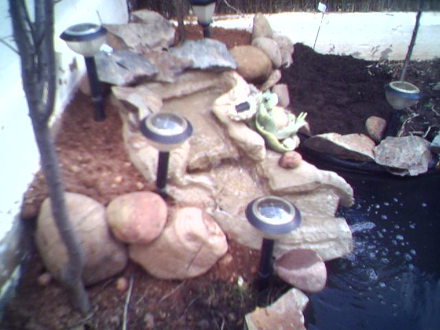 03-03-06_1053.jpg