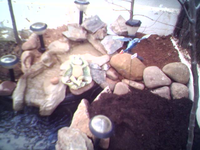 03-03-06_1054.jpg