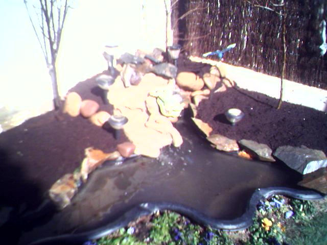 03-03-06_1243.jpg