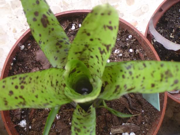 03-07-2011041.jpg