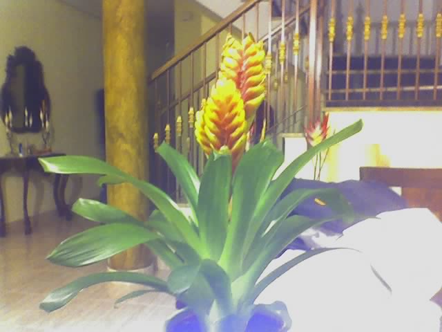 03-08-07_2314.jpg