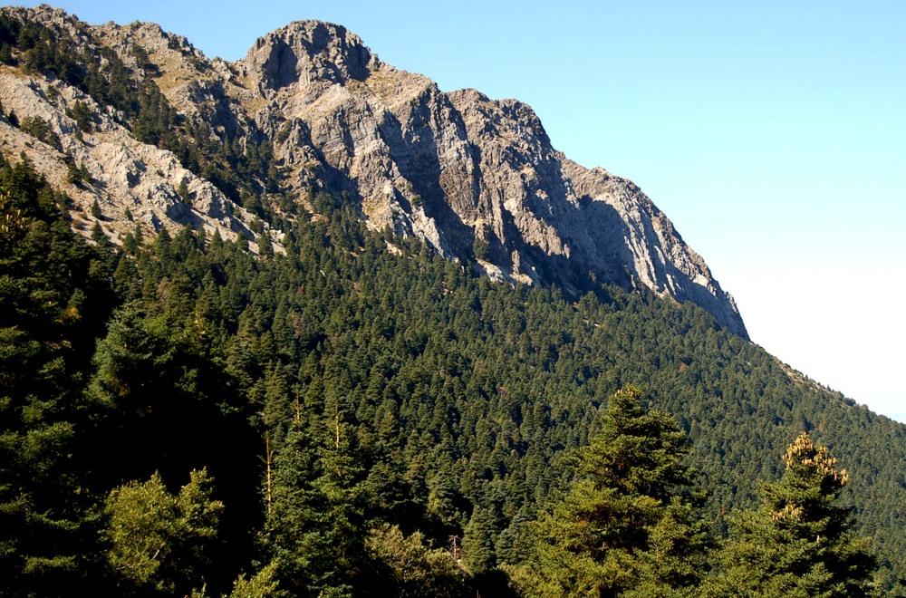 03-senderismo-sierra-grazalema-eusk%C3%A1diz.jpg