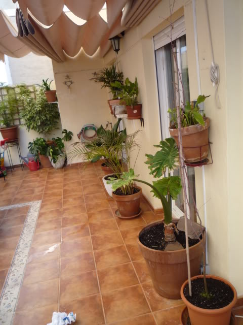 030.jpg