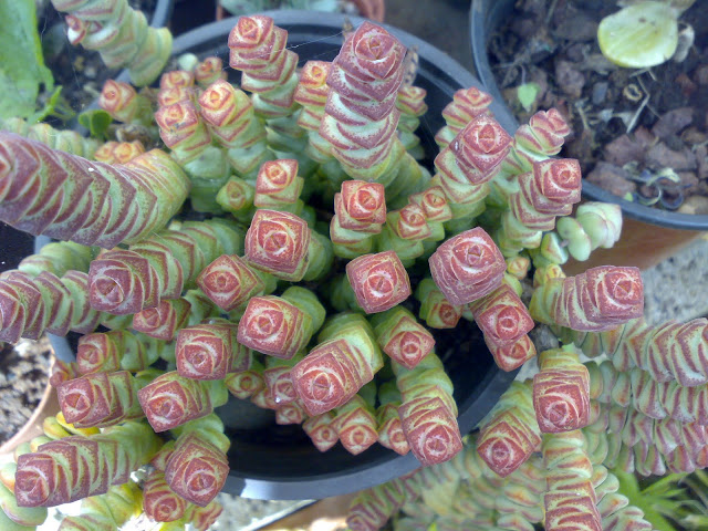 030320114168.jpg